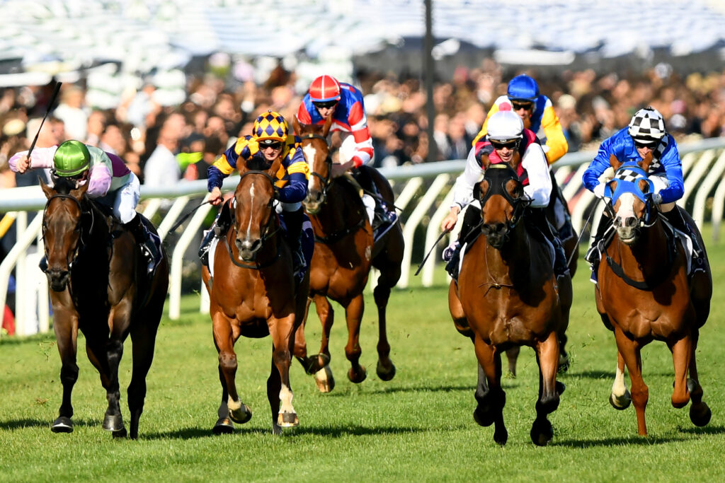 Makybe Diva Hospitality Package